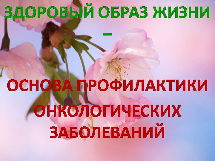 Специалисты советуют