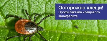 Профилактика клещевого энцефалита