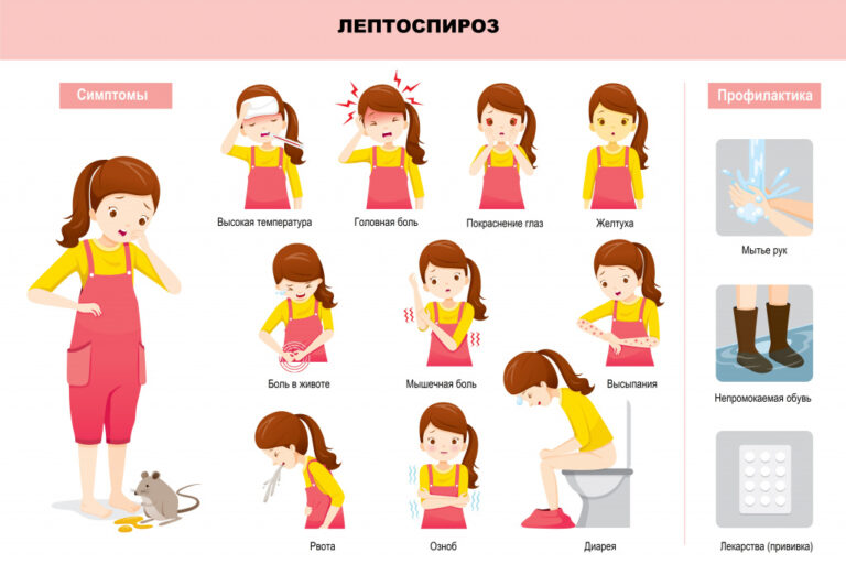 Лептоспироз