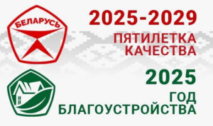 2025 Год Благоустройства