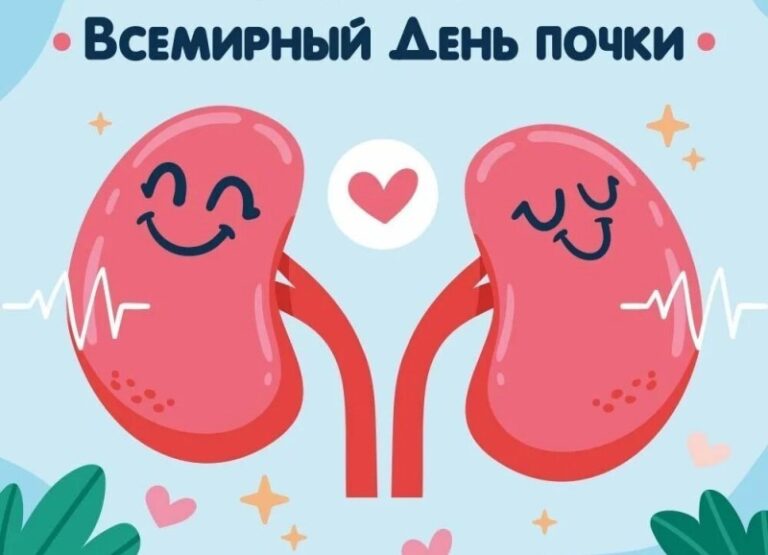 12 марта — Всемирный день почки