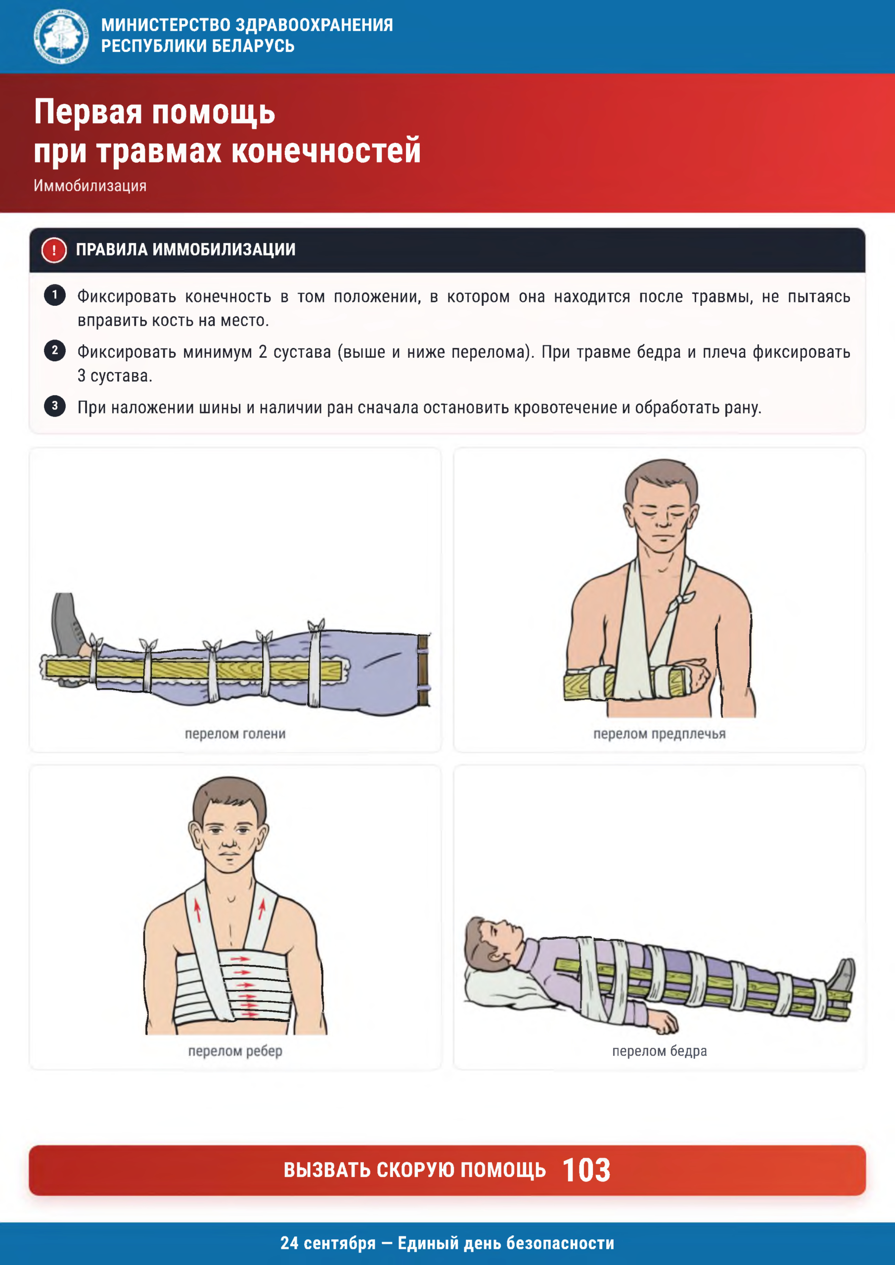 новости